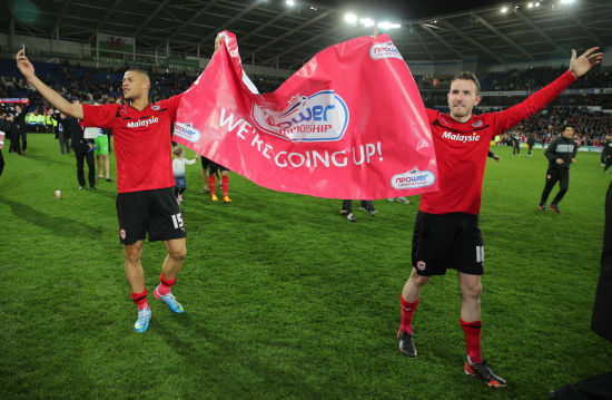 在专题片中 在专题片中